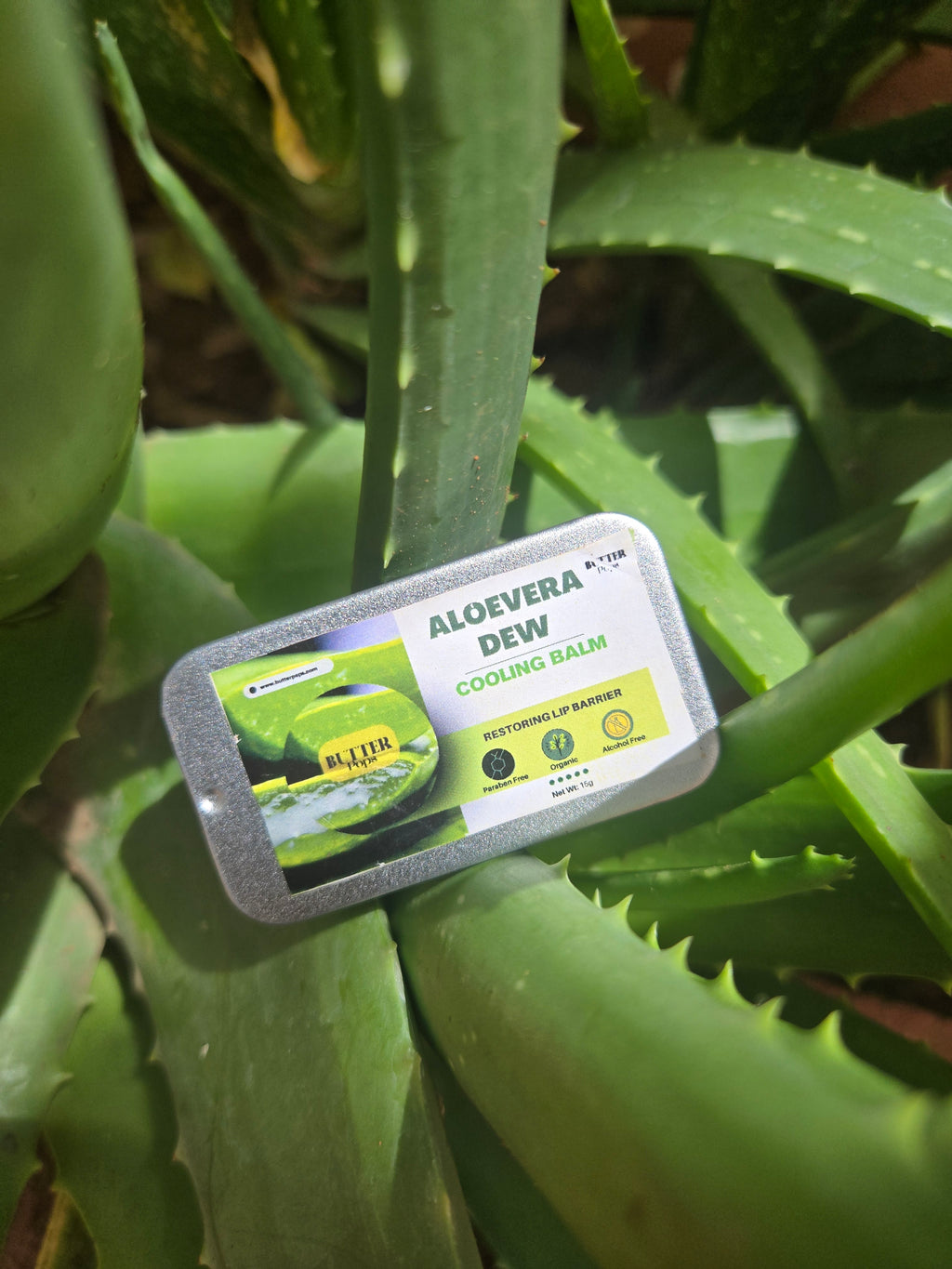 Organic ALOEVERA DEW Lip Butter – Aloe Vera Infused Lip Balm for Dry, Chapped Lips