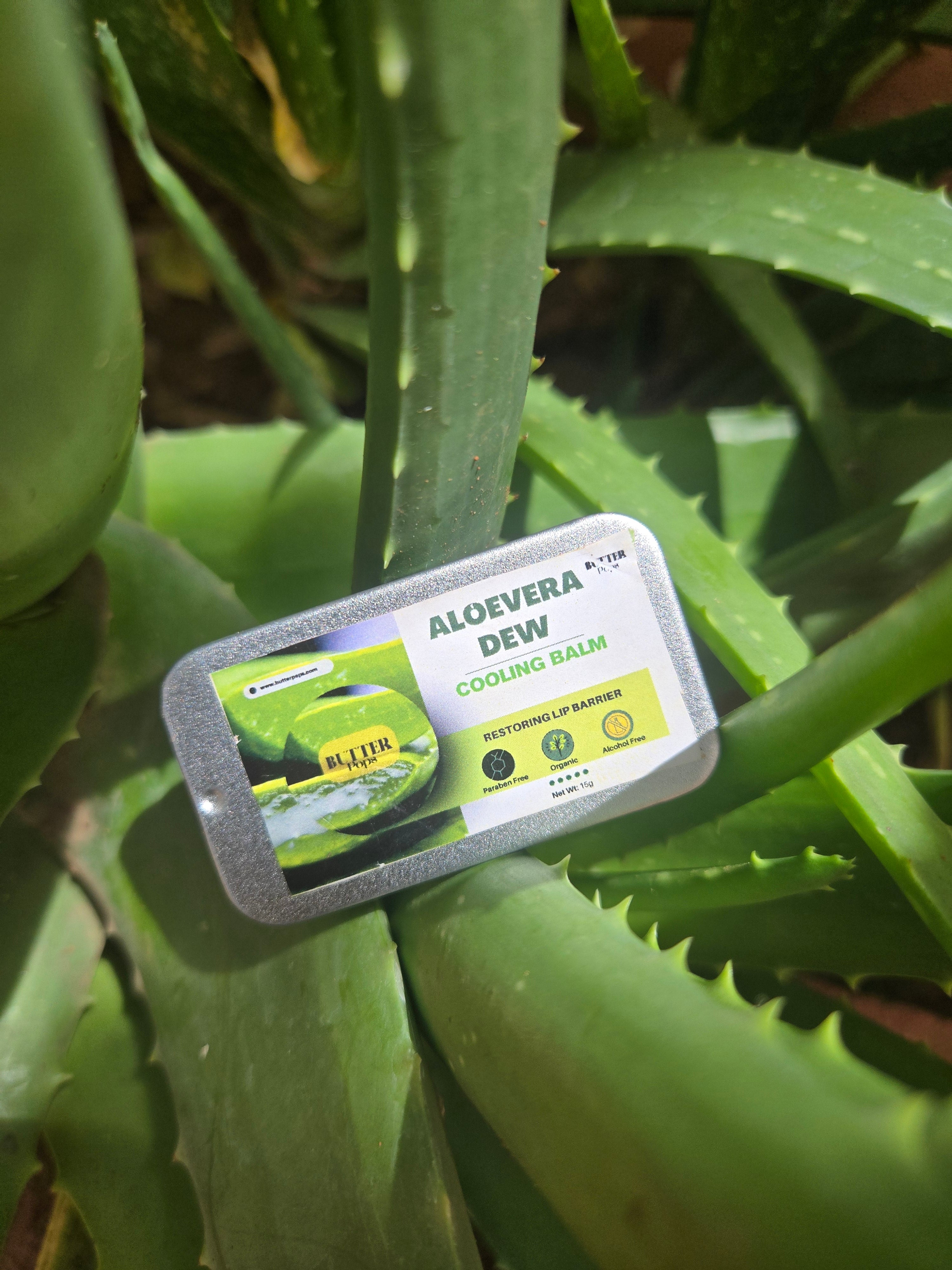 Organic ALOEVERA DEW Lip Butter – Aloe Vera Infused Lip Balm for Dry, Chapped Lips
